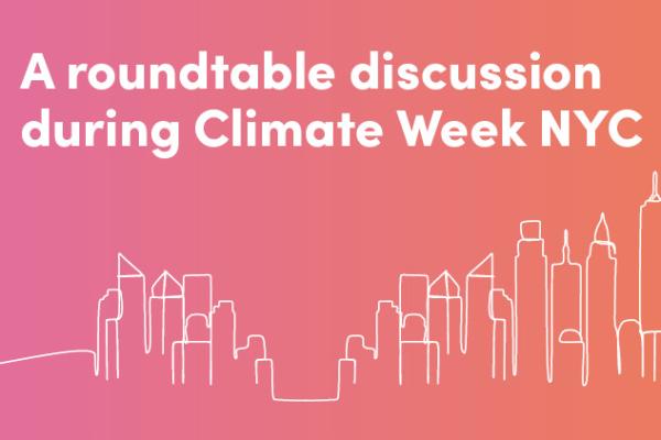 Catalysing Corporate Resilience with Private Sector Action: Insights from Climate Week NYC